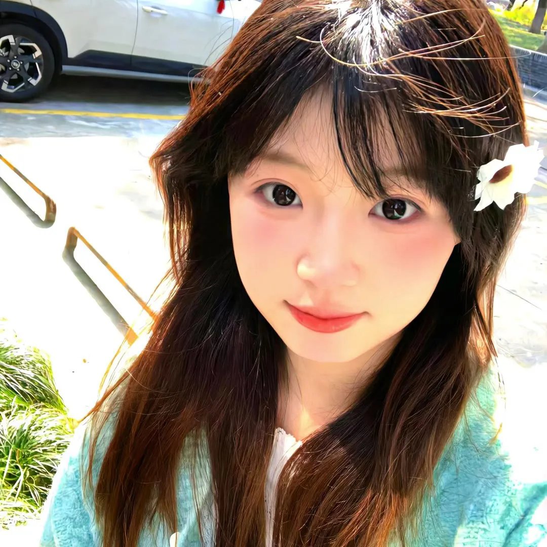 赞鸟历险记